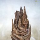 약뜸한의원 이미지