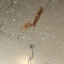 CU 신용산점 | 제철 재료로 요리하는 신용산 힙한 브런치집, 베이비펌킨