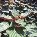 샘물농장 이미지