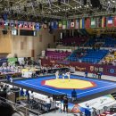 코리아태권도체육관 이미지