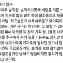 사주를 믿고싶어도 이미지