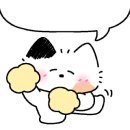 나비야호텔 이미지