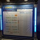 주식회사랩가이드 이미지