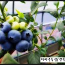 우용농장 이미지