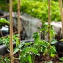 운용농장 이미지