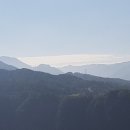 고씨