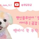 그루밍 모먼트 이미지