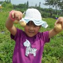 만석군농장 이미지