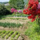 인원농장 이미지