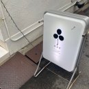 와드(WAD) 이미지