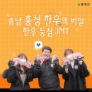 홍성군청(축산과) 티스토리