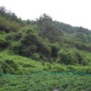 미천면-12 이미지