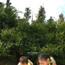 삼일산장 이미지