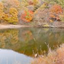 라 까시나 이태리 이미지