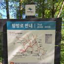 태백 태백산 당골광장 천제단 코스 (쉬운 코스)
