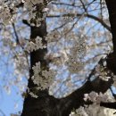 복주4길(옥동) 이미지