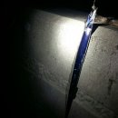 제주은갈치 이미지