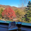 대신부동산 | [공지] 나는 마트 대신 부동산에 간다(김유라) 독서 후기