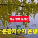 설천면109 이미지