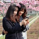 과일하우스 이미지