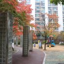 금곡부동산공인중개사사무소 이미지