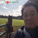 헌치 게스트하우스 이미지