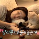 얄리 이미지