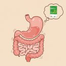 다제스팜 이미지