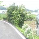 양사면보건지소 이미지