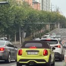 톰스개러지 이미지