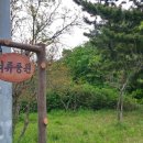 노곡삼거리(노곡1리) 이미지