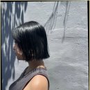 롯데마트 첨단점 이미지