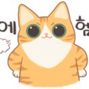 뉴젠의료기 이미지