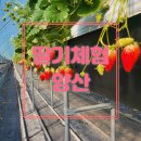 그린나래태권도장 이미지