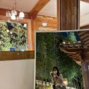코나헤이븐 - 용인시 수지구 신봉1로 436 | 코나헤이븐
