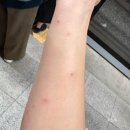 딸부자대게민박 | 내돈내산 :: 제주파르나스호텔 28개월 아기랑 3박 4일 투숙, 룸서비스 +콘페티런치 후기