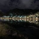 더진주