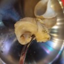 원조골뱅이 이미지