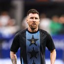 파라디조 이미지