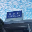 솔밭공원1 이미지