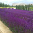 엠글로벌 이미지