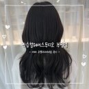 첨단 박승철 헤어 앞 | [부평미용실] 박승철헤어스투디오 부평점 모발클리닉 / 이재 수석 디자이너님 후기