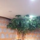 24시여성전용찜질방 이미지