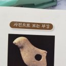 부강토기