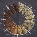 홈 카페 바리스타 이미지