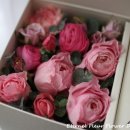 지구박스 이미지