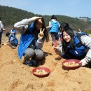 해성농장1 이미지