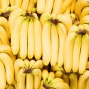바나나, 곧 '멸종'한다.. '캐번디시' 종마저 신종 곰팡이 감염 이미지