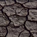 장수천공원 이미지