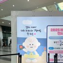 [1인가구·가족체험] 사다리선반 | 부산 베이비페어 &amp; 유아교육전 부베유 사전등록 혜택 요약